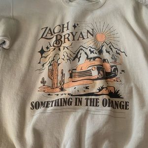 Crewneck something in the orange